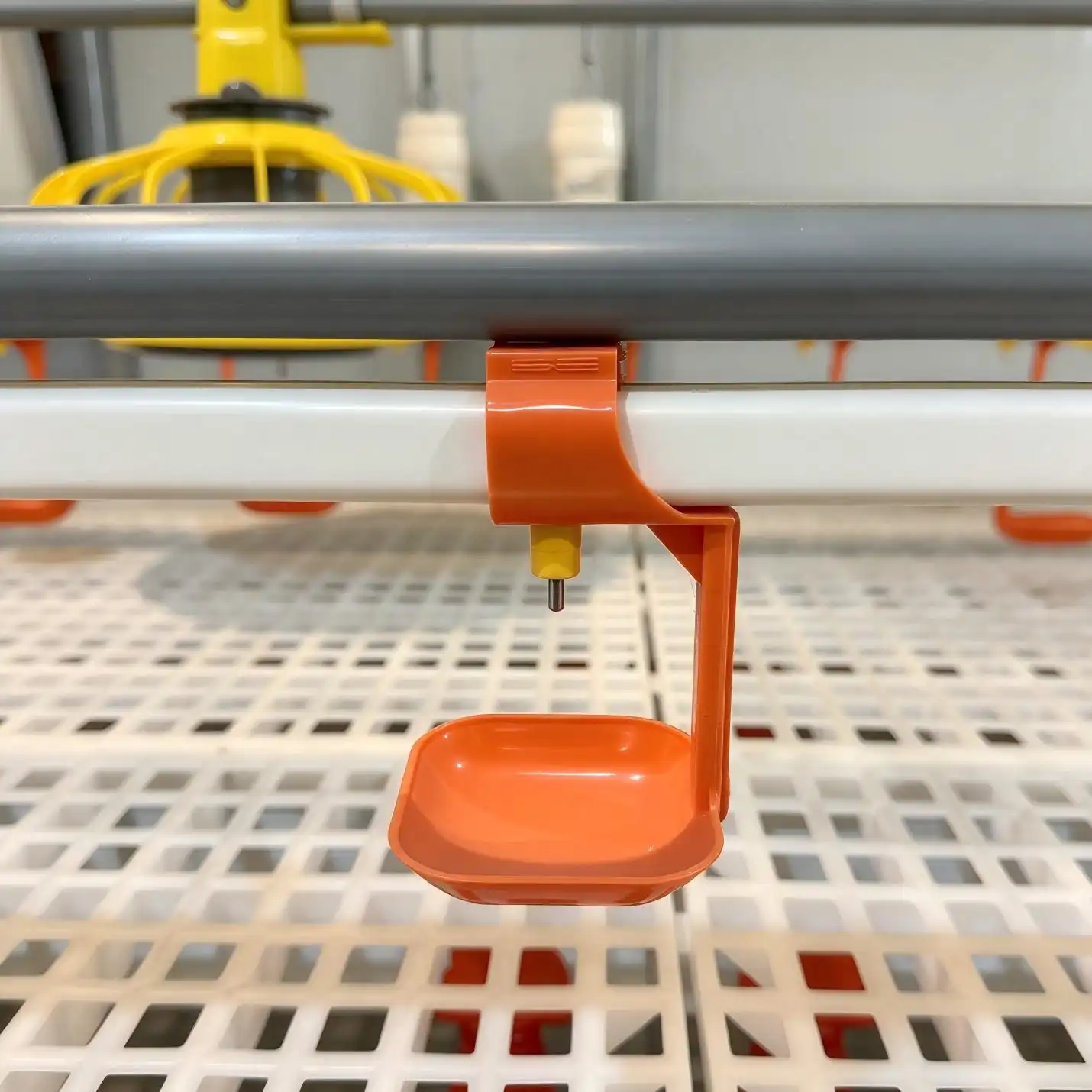 Automatic Drinking System