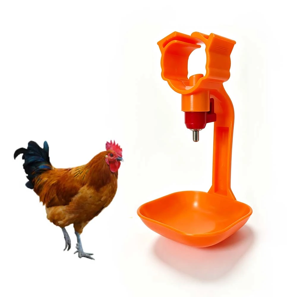 Automatic Drinking System