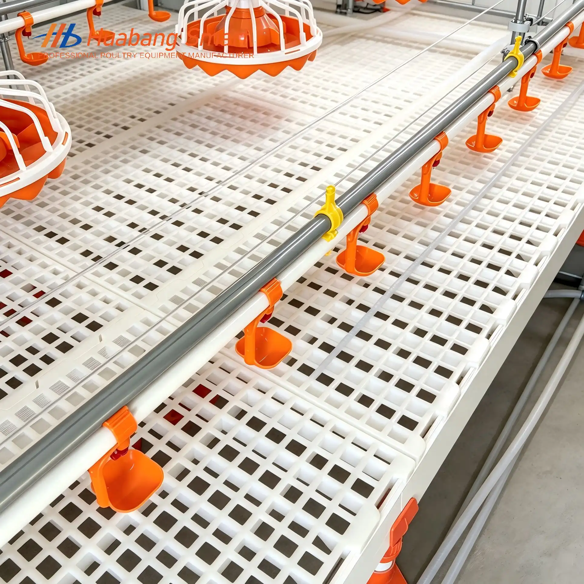 Automatic Drinking System