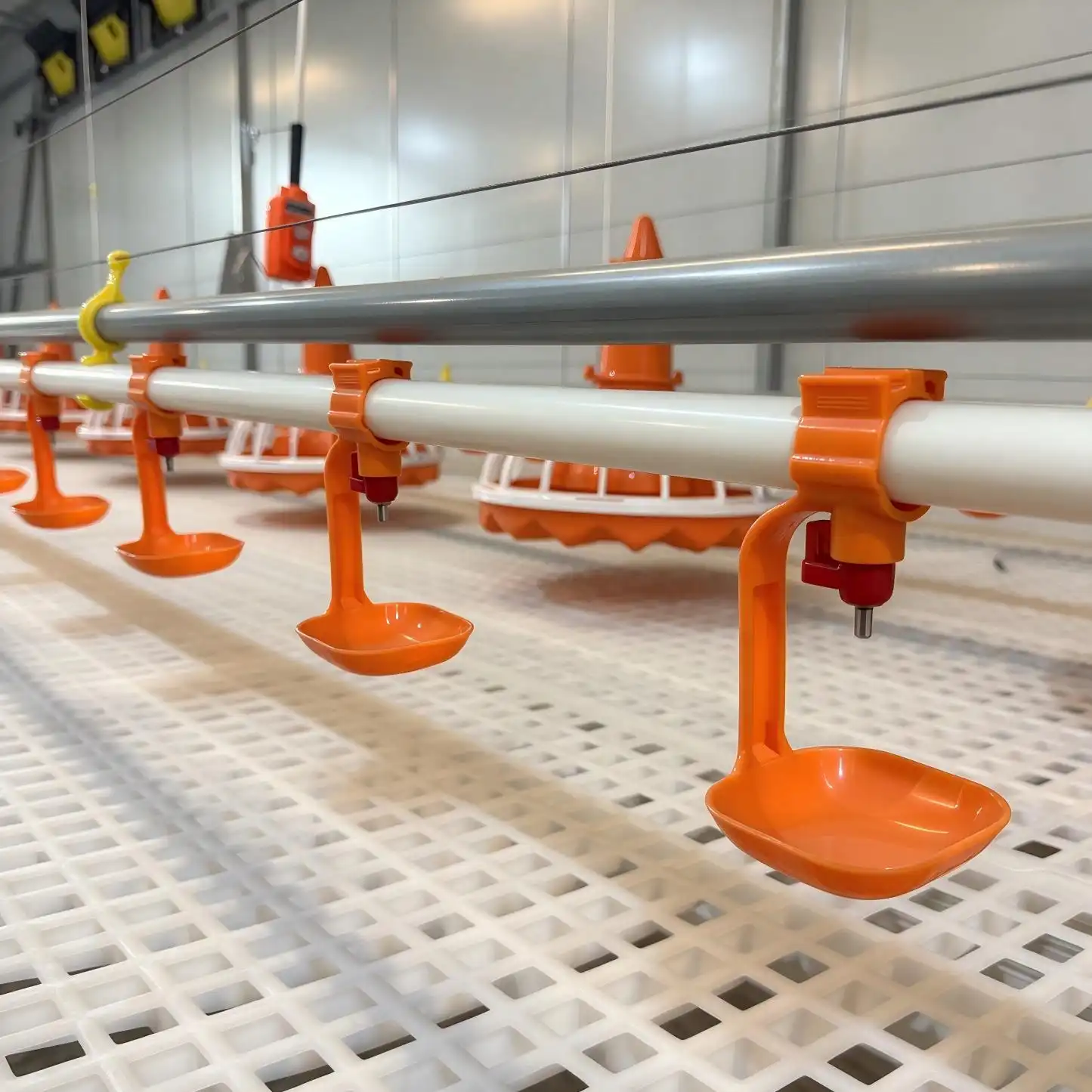 Poultry Automatic Drinking System