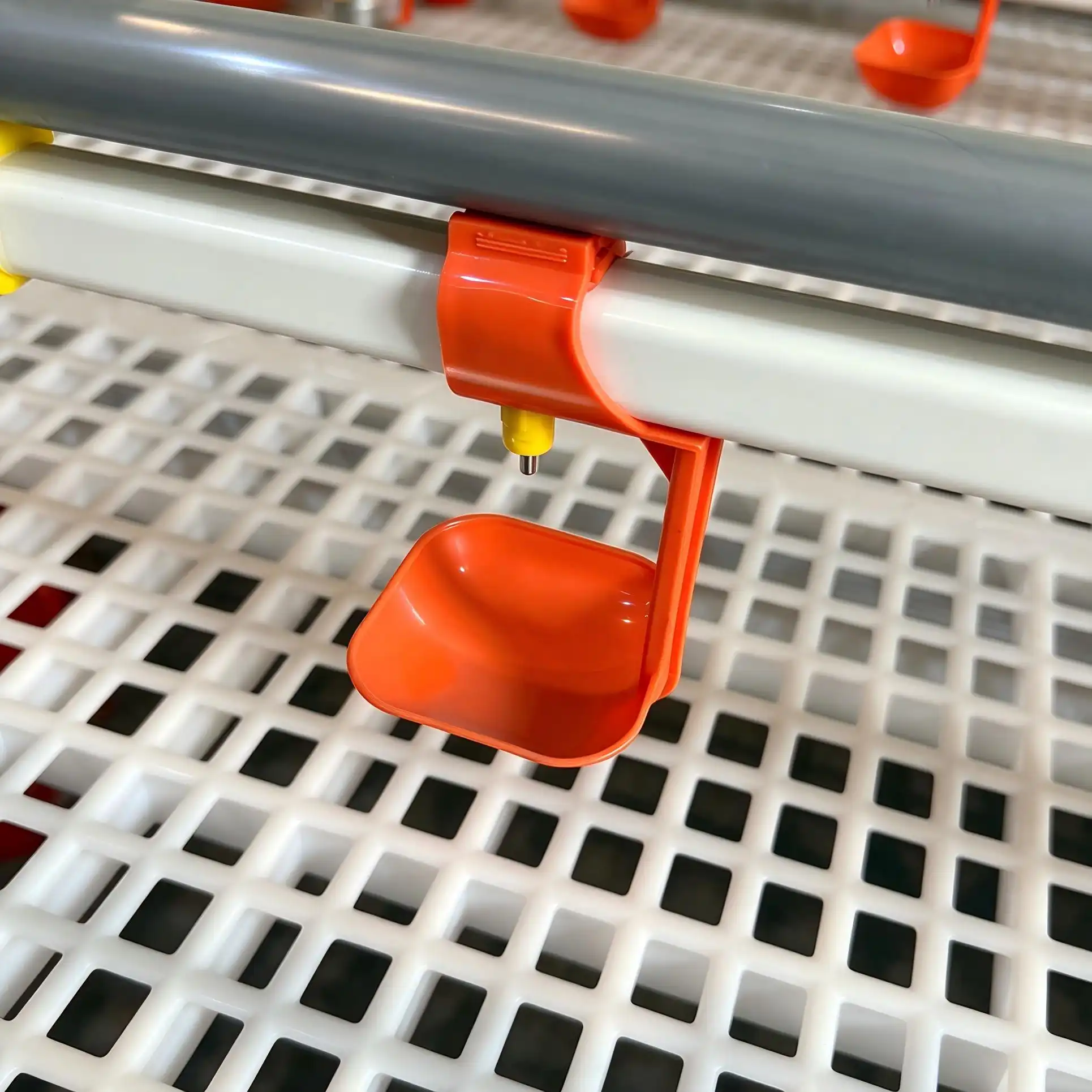 Chicken Feeder And Waterer Chicken Feeder And Waterer