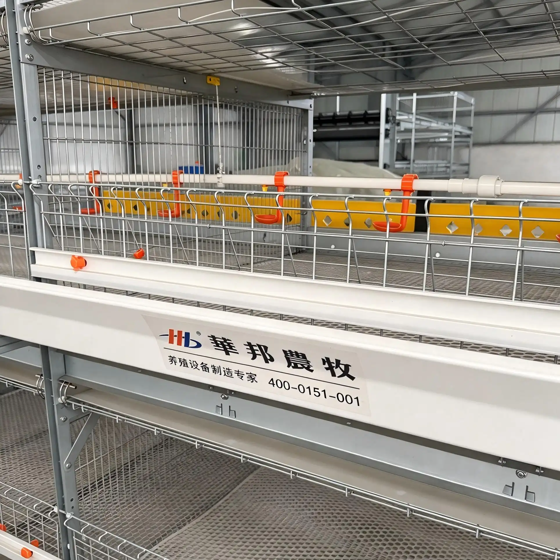 Cages For Broiler Chicken