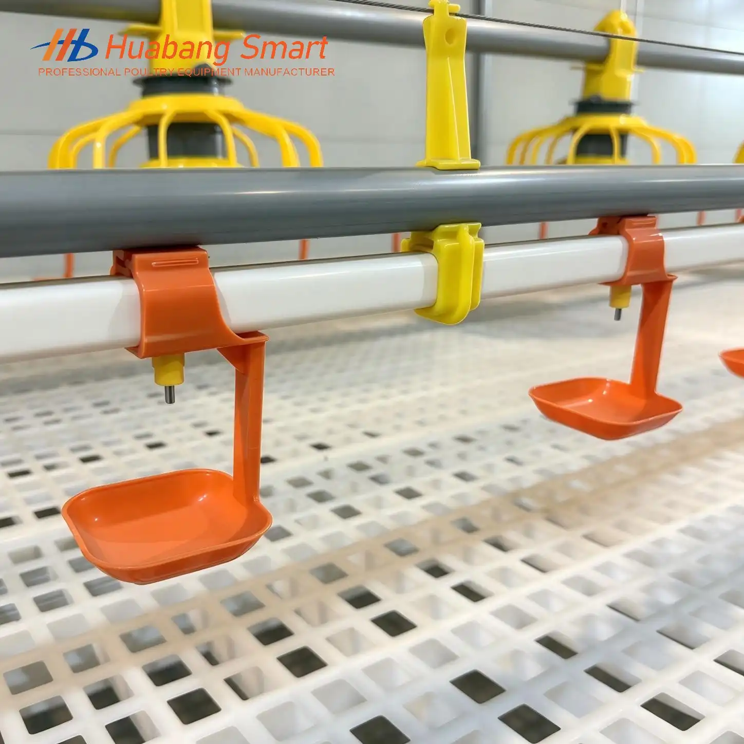 Automatic Chicken Feeder And Waterer Automatic Chicken Feeder And Waterer