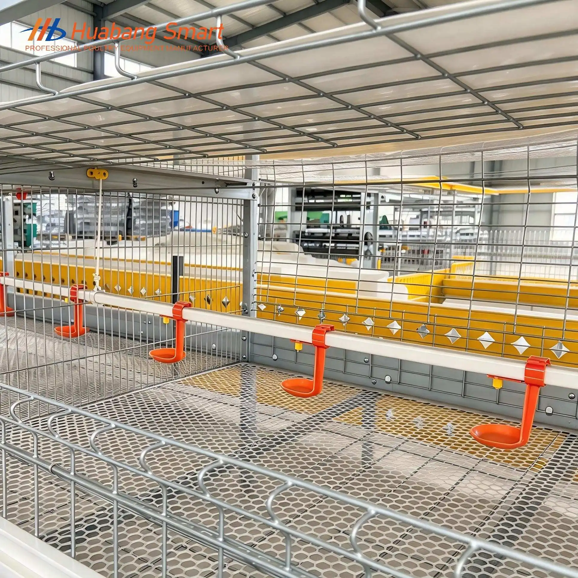 broiler chicken cage