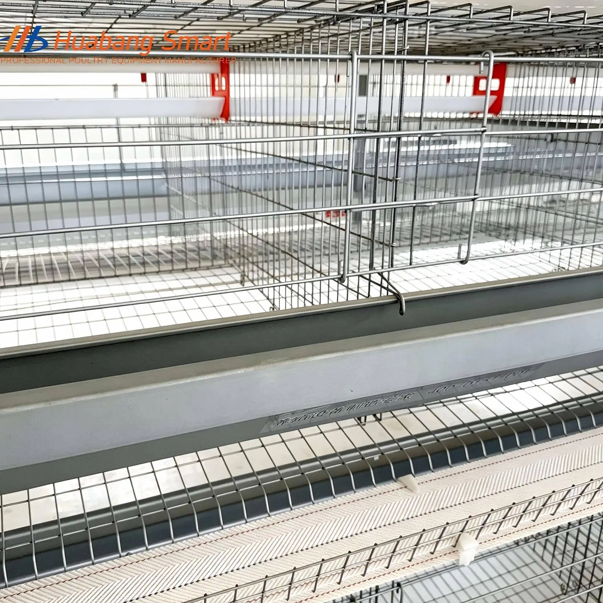 Chicken Cages Egg Layer H Type