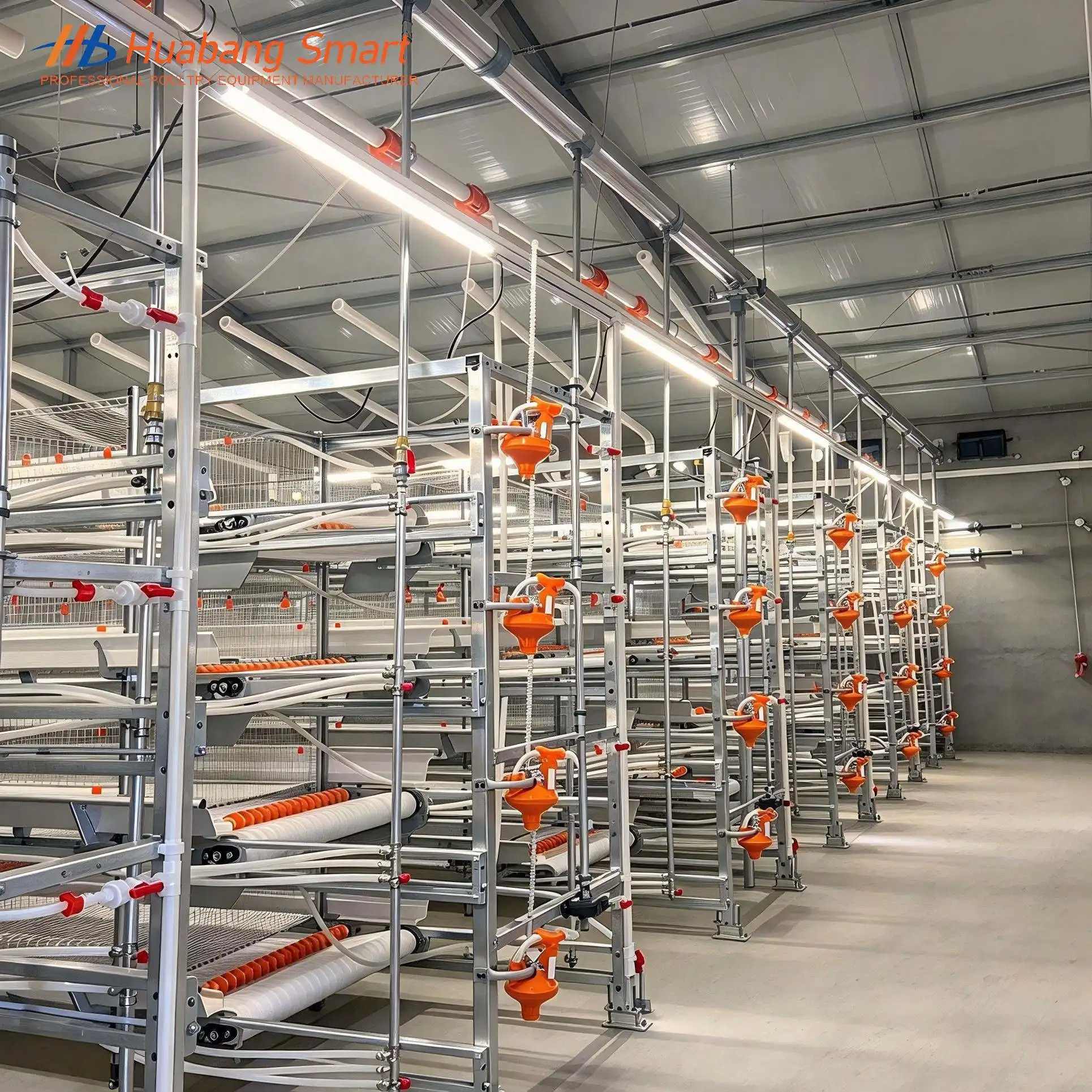 broiler chicken cage