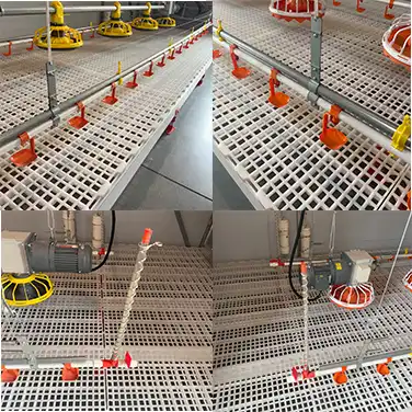 floor drinking line floor drinking line