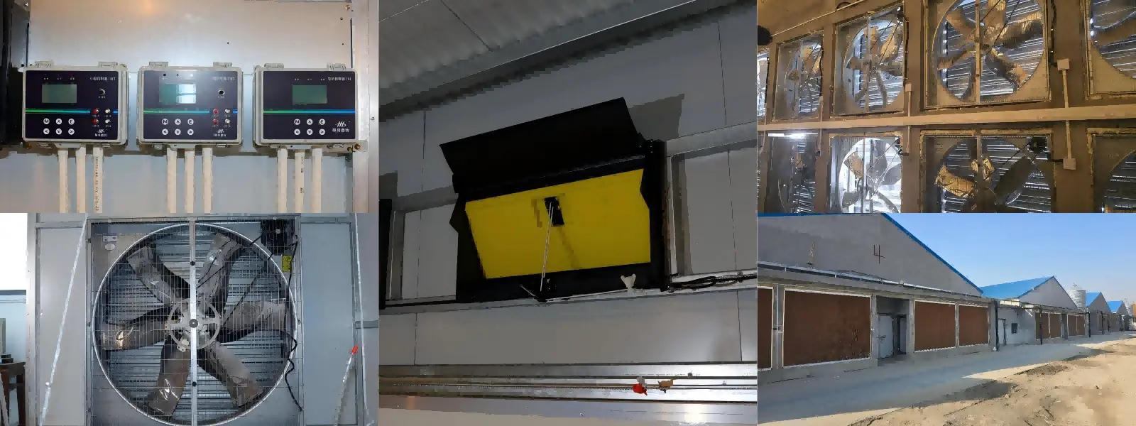 chicken Layer cage Environmental Control System Application chicken Layer cage Environmental Control System Application