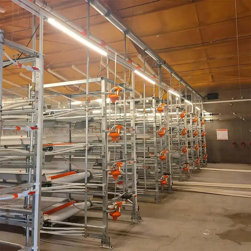 broiler cage