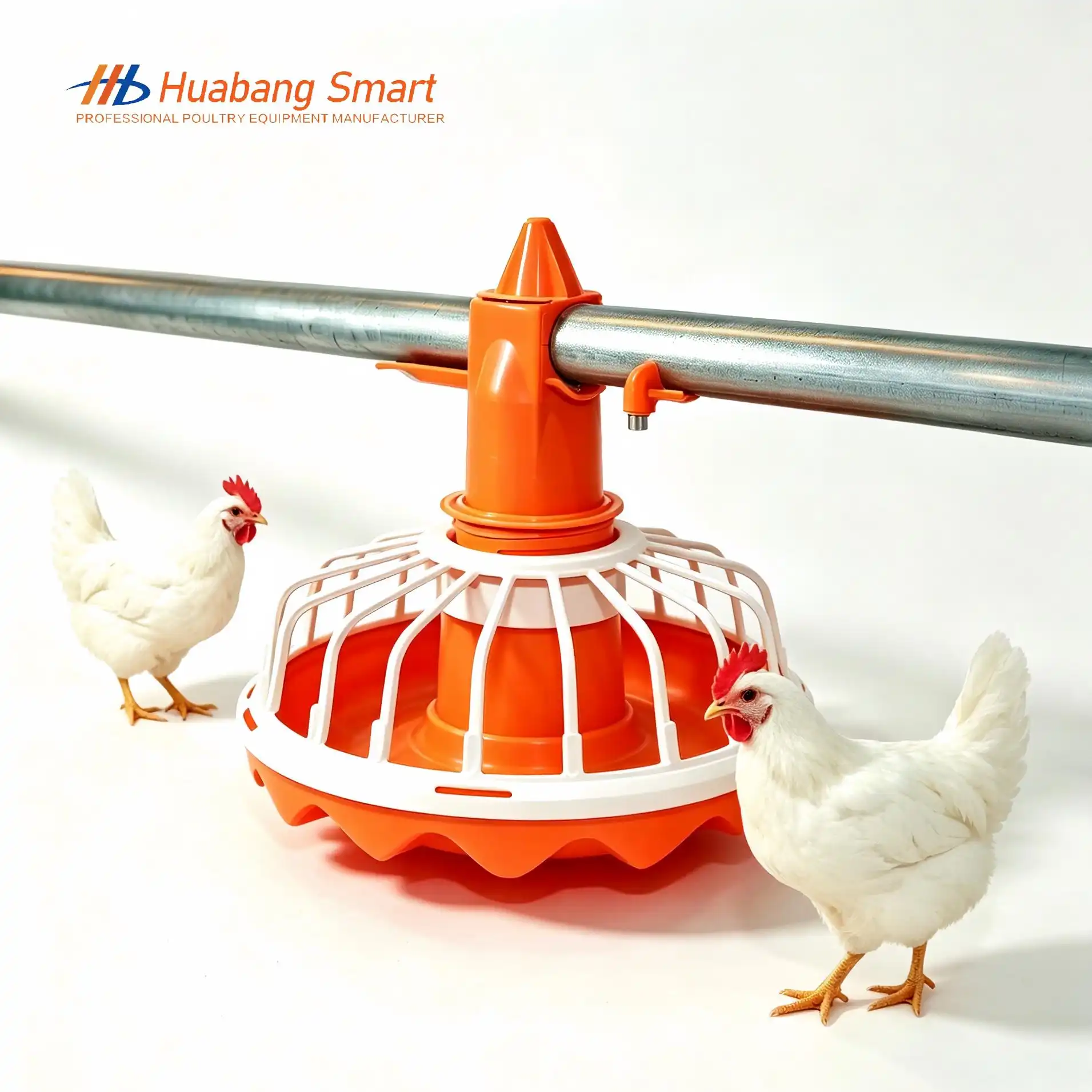 feeder for chickens