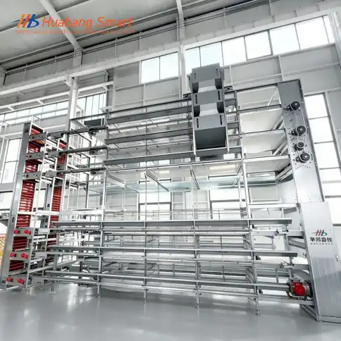 layer chicken cage