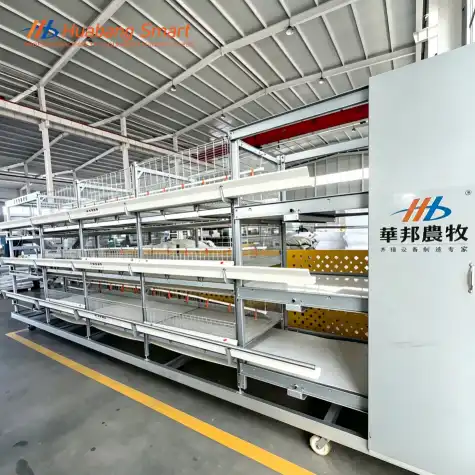 broiler cage broiler cage