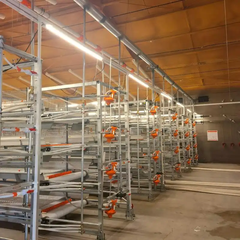 broiler cage broiler cage
