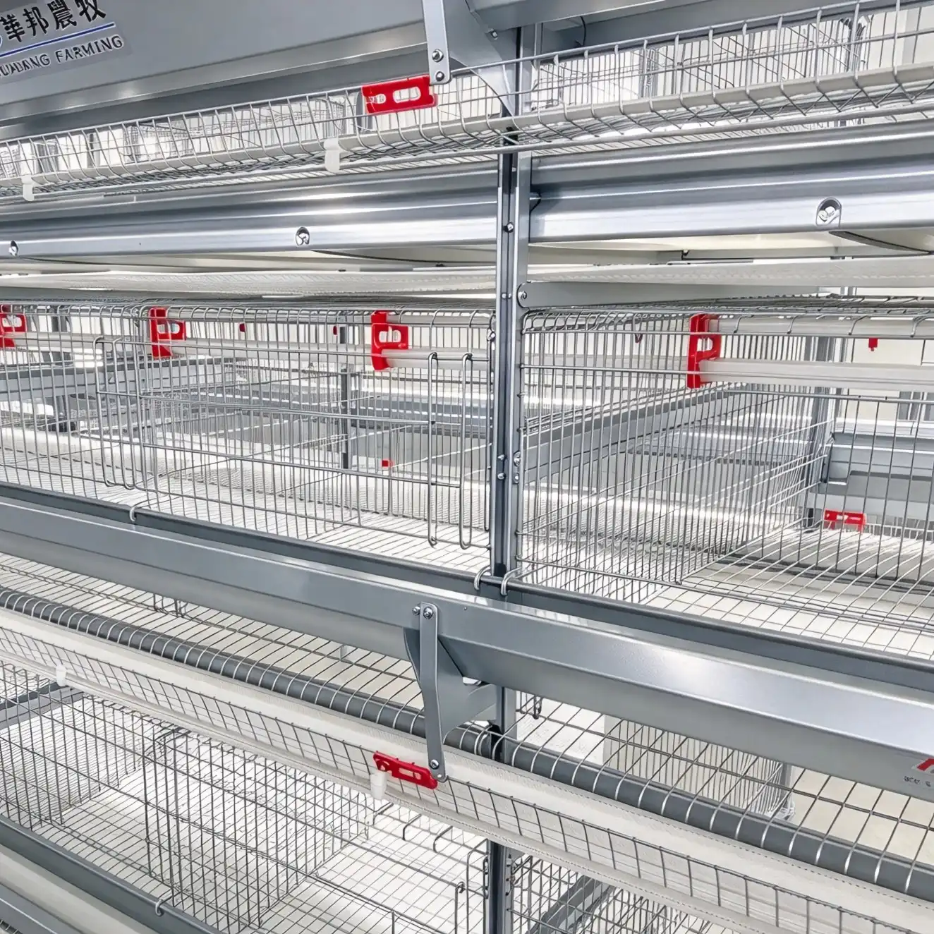layer chicken cage