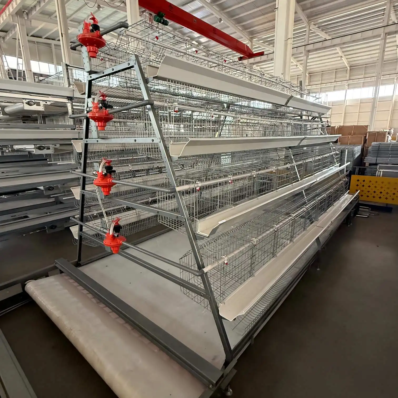 layer chicken cage