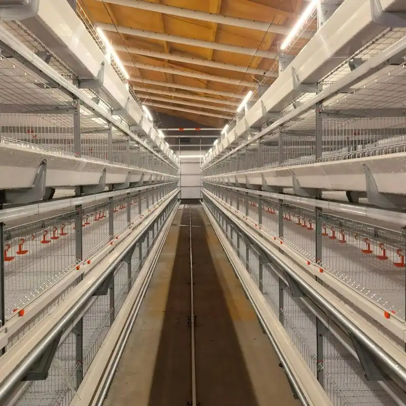 broiler cage