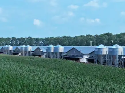Huabang Smart Successfully Completes Philippine Broiler Chicken Farm Project