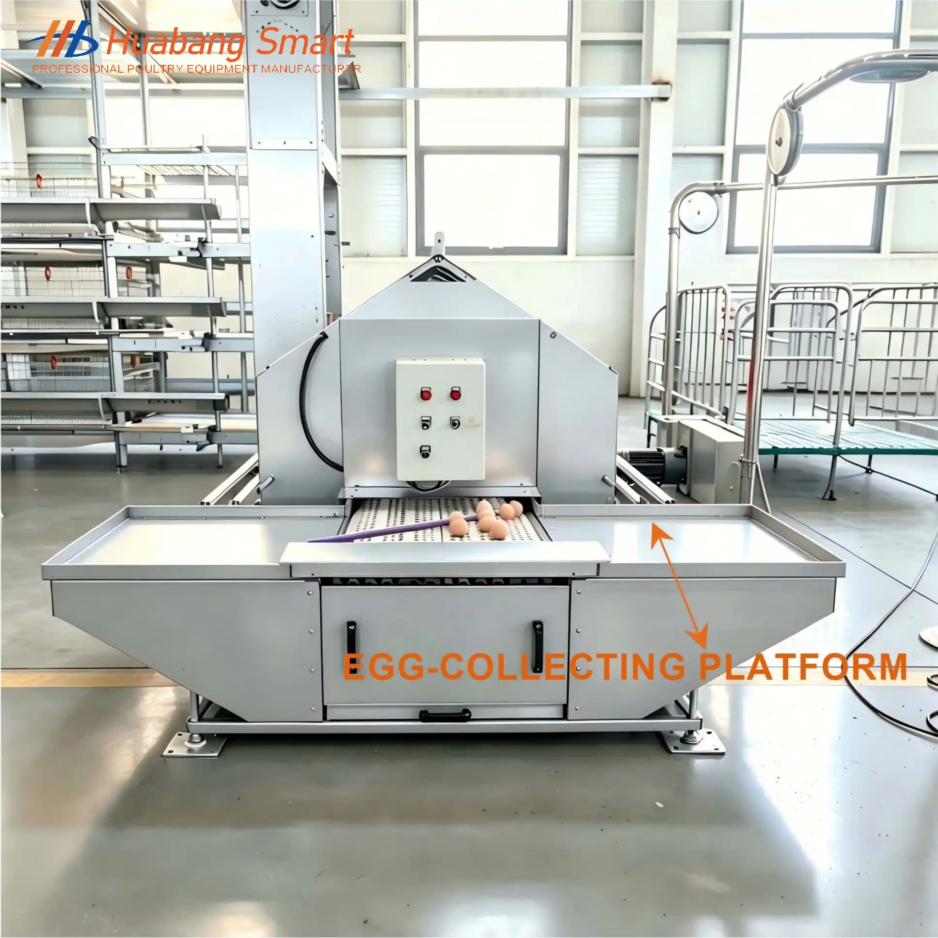 Multi-Hole Chicken Nesting Box Manufacturer - Huabang Smart