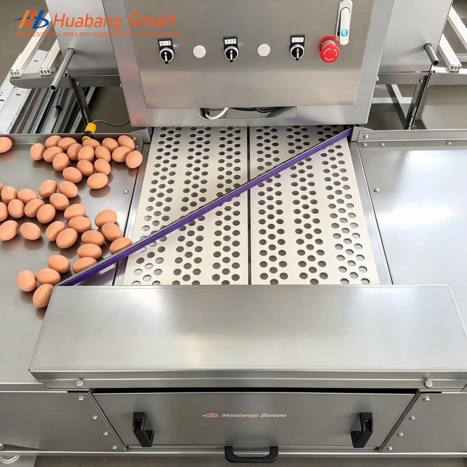 Chicken Coop Nesting Box Manufacturer, China - Huabang Smart